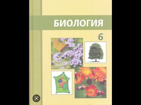 Видео: Өсімдіктердің өсімді мүшелері. Тамыр және тамыр жүйесі.