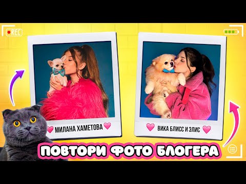 Видео: ПОВТОРЯЮ ФОТО БЛОГЕРОВ с ПИТОМЦАМИ | Милана Хаметова, Влад А4, Покров, Анука Давайка