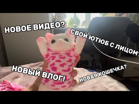 Видео: СКВИШ СОБАЧКИ|Новый сквиш котик?