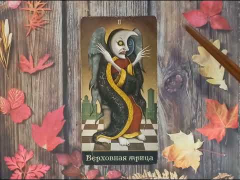 Видео: Для начинающих. Видеоурок по колоде "Таро безумной луны".Старший аркан Верховная Жрица