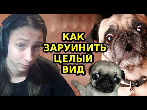 Видео: Tobyto смотрит КАК ЛЮДИ ИСПОРТИЛИ ВОЛКОВ (и довольны этим) и декаданс