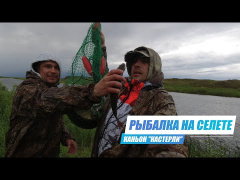 Видео: Летняя Рыбалка на Селете. Ловим Щуку на Жерлицы. Селетинские Красоты