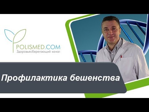 Видео: Профилактика бешенства: обработка и дезинфекция раны. Первая помощь при укусах животных