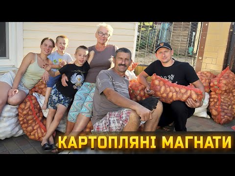Видео: 🇺🇦Бізнес на картоплі🥔 Гуртом і батька легше бить! Урожай як ніколи!