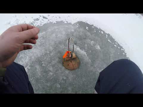 Видео: РЫБАЛКА НА ЖЕРЛИЦЫ 2021