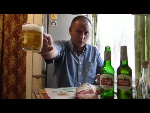 Видео: Пью пиво " Stella Artois" под сухари с бужениной...