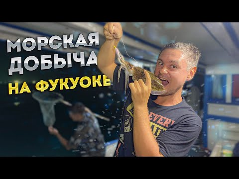 Видео: Рыбалка на Фукуоке: ловим осьминогов, каракатиц и кальмаров! Что удалось поймать?