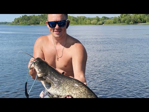 Видео: рыбалка с гостями из Рязани сом на квок