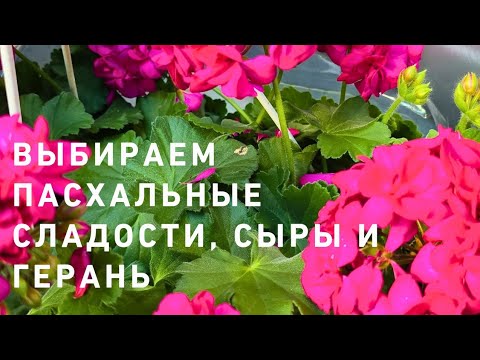 Видео: Воскресный пробег по магазинам 😇🌺🌸 а что я купилаааа 🤗‼️⁉️