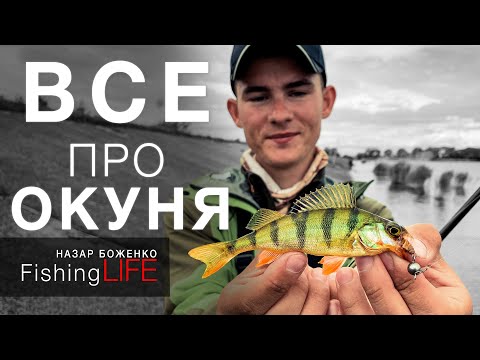 Видео: ЯК ЛОВИТИ ОКУНЯ? РИБАЛКА НА СПІНІНГ