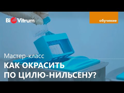 Видео: Окраска по Цилю Нильсену