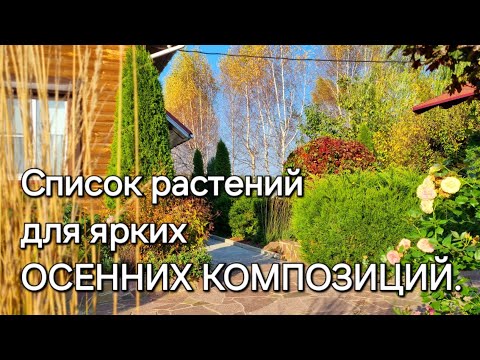 Видео: Список растений для ярких ОСЕННИХ КОМПОЗИЦИЙ. Эффектные сочетания.