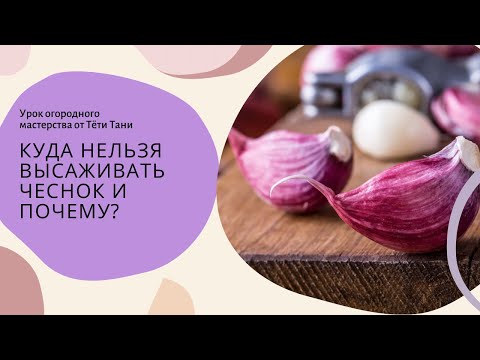 Видео: Куда нельзя высаживать чеснок и почему...