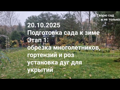 Видео: Творю сад. 20.10.2025. Подготовка сада к зиме