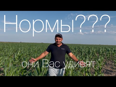 Видео: Агроном - работа творческая .