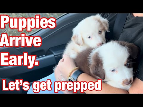 Видео: Захватывающий день, новые поступления