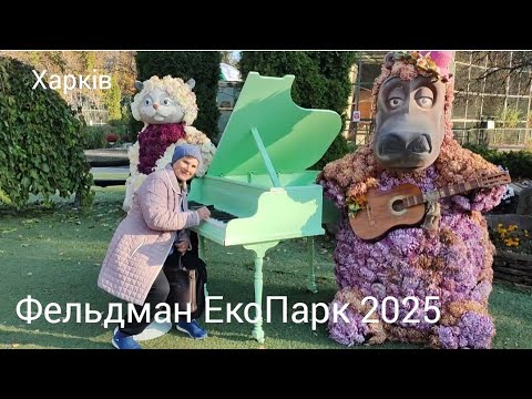 Видео: Фельдман ЕкоПарк 2025!  Бал хризантем йде до завершення!