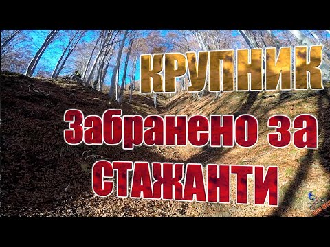 Видео: КТМ 300 и 4t Yamaha WR, CRF | КРУПНИК - Ендуро Столицата