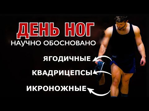 Видео: Самая лучшая ТРЕНИРОВКА НОГ:квадрицепсы, ягодичные, бицепс бедра, икры. (6 эпизод)| Джефф Ниппард