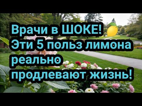 Видео: Врачи в ШОКЕ! 🍋 Эти 5 польз лимона реально продлевают жизнь!
