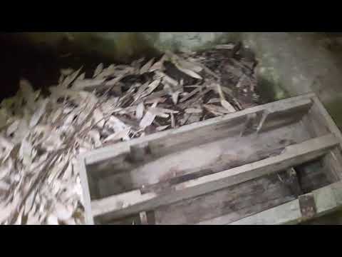 Видео: Брошенные танки острова Итуруп . Часть 3