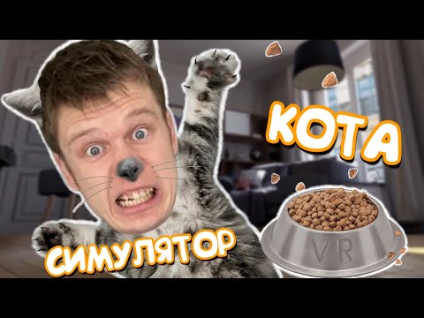 Видео: Я превратился в КОТА! УСТРОИЛ ПОГРОМ В КВАРТИРЕ!!! Catify VR