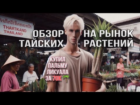 Видео: ОБЗОР НА РЫНОК ТАЙСКИХ РАСТЕНИЙ 🪴 КУПИЛ ШИКАРНУЮ ПАЛЬМУ ЗА 70.000🤤🌴 ПАРК НОНГ НУЧ ПАТТАЙЯ