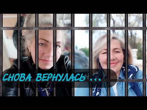 Видео: ВОЗВРАТ В МЛС, А ЭТО СТРАШНО 😨