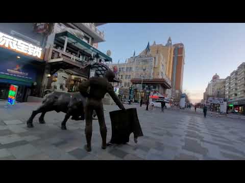 Видео: Маньчжурия моя. Отъезд из Читы. Обмен денег. Встреча с подписчиками.