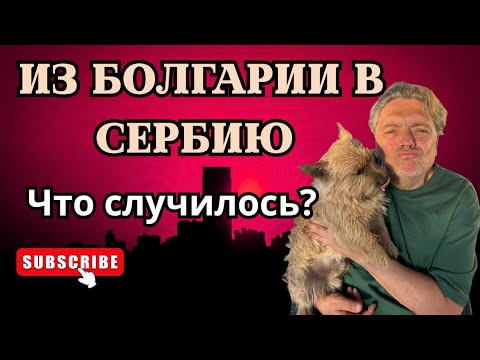 Видео: Уехали из Болгарии в Сербию. Зачем?