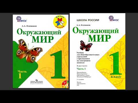 Видео: ЗАЧЕМ нужно ТАК МНОГО учебных ПОСОБИЙ по окружающему миру