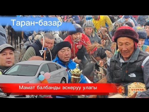 Видео: Мамат балбанды эскеруу улагы