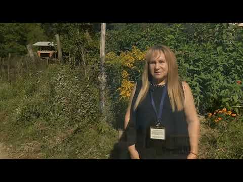 Видео: БГ МАРШРУТИ: ГУЛЯНЦИ, БРЕСТ, СОМОВИТ, МИЛКОВИЦА, ТРЯВНА - КАК БЪЛГАРИТЕ ПРОИЗВЕЖДАТ И ОБИЧАТ ЗЕМЯТА