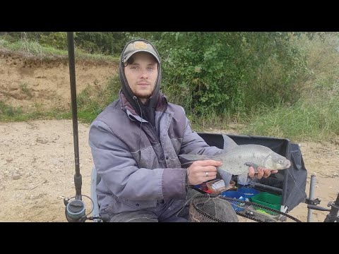 Видео: Где искать рыбу осенью на вдх , советы для начинающих фидеристов🎣🎣🎣