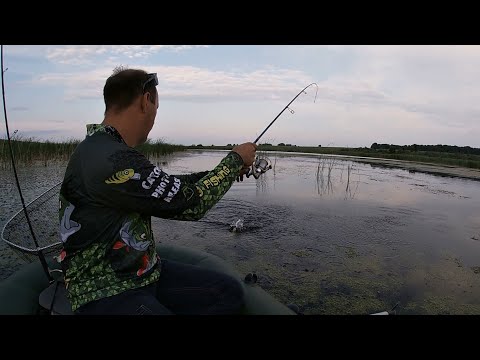 Видео: Ловля щуки на спиннинг с лодки. На что ловить щуку в июле? Как ловить щуку на заросшем водоеме...