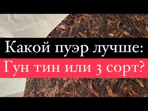 Видео: Какой шу пуэр лучше: Гун тин или 3 сорт?