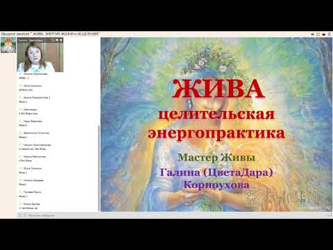 Видео: Вводное занятие по Живе