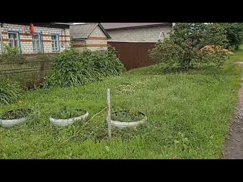 Видео: Мой любимый город Ртищево, иду в гости