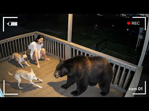 Видео: Моментов Снятых за Секунду до Катастрофы