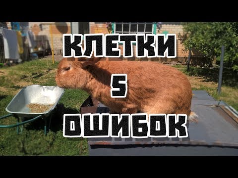 Видео: 5 ошибок при строительстве клеток для кроликов  | Дневник Кроликовода №5| Арболитич