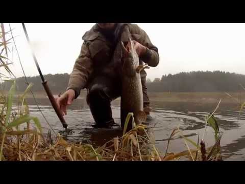 Видео: Гнутышъ "Комбат"