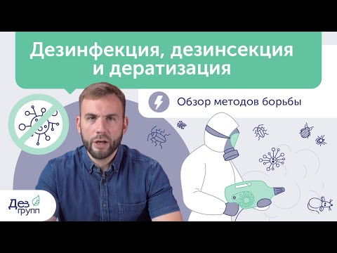 Видео: Дезинфекция, дезинсекция, дератизация | Описание и отличия |  СЭС |Дезинфекция от вирусов