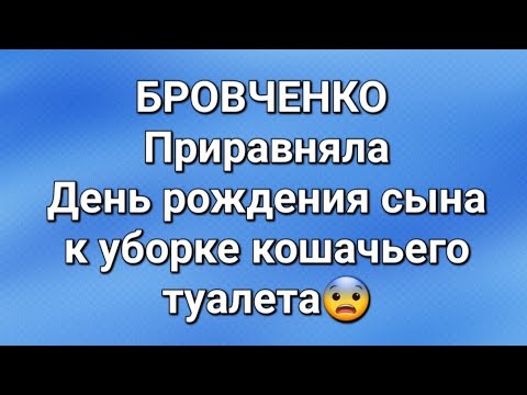 Видео: Бровченко/Последние новости. 