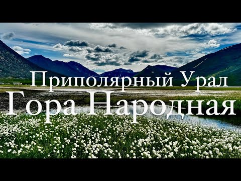 Видео: Гора Народная l Приполярный Урал I Одиночное путешествие на высшую вершину Урала