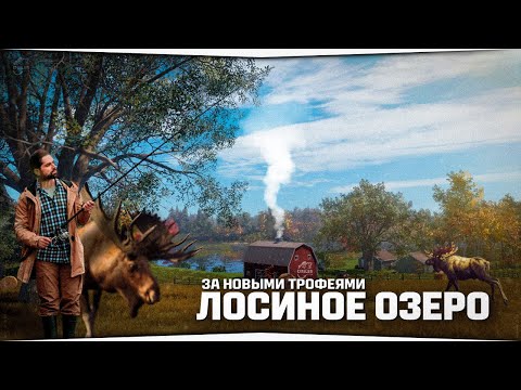 Видео: Лосиное озеро • За новыми трофеями • Русская Рыбалка 4