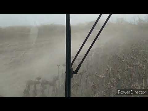 Видео: Акрос 595+.Уборка подсолнечника.Завершена.