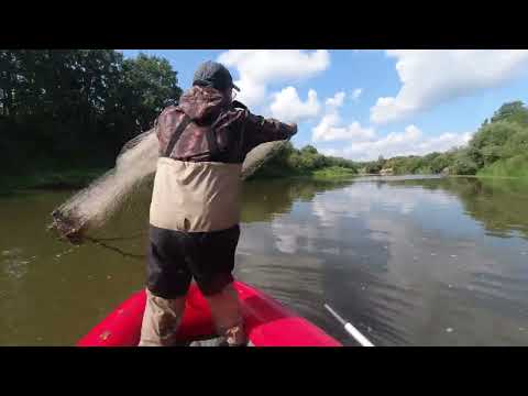 Видео: Рыбалка на Кастинговую сеть. Лето 2024.