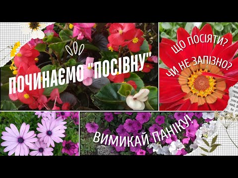 Видео: ПОСІВИ СІЧНЯ. Які квіти вже сіємо, які ще почекають