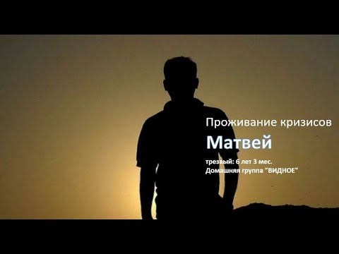 Видео: Спикерское собрание!  Матвей, трезвый: 6 года3 мес. " Тема: "Проживание кризисов"