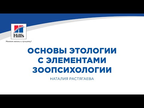 Видео: Вебинар на тему: "Основы этологии с элементами зоопсихологии". Лектор - Наталия Растягаева.